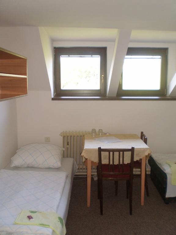Hotel Pod Skalou Písek Εξωτερικό φωτογραφία